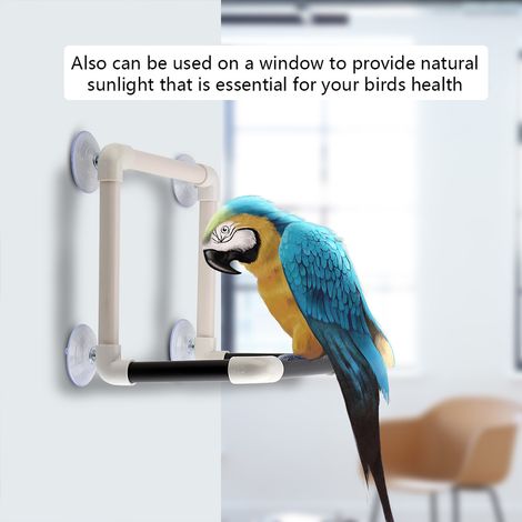 Perchoir portable pour perroquets avec ventouses, à fixer sur une fenêtre, une douche ou un mur, en plastique. Jouet sur pied. (1/5)