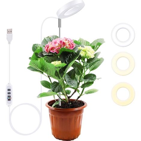 Pflanzenlampe – LED-Pflanzenlampe – Vollspektrumlicht – Verstellbar 61,5 cm – Weiß (1/5)