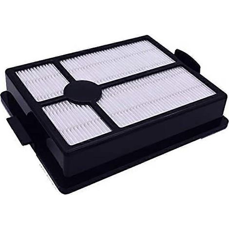 Filtre HEPA de remplacement pour Rainbow Rexair séries E et E2 - Pièces détachées pour filtres (1/5)