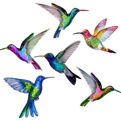 Protege a las aves y decora tu oficina en casa - CBCJD201