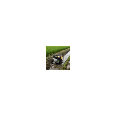 Benzin Wasserpumpe 4 Takt Motor 196CC Wasser Pumpe 7m Saugleistung & 28m Förderhöhe Wasserpumpen 60 m³/h Fördermenge Benzinmotorpumpe mit Schalldämpfer, Filtersystem Wasserpumpe (1/5)