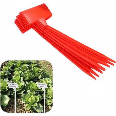 Paquete de 30 etiquetas/estacas para plantas, Superficie angulada para facilitar la lectura, Estacas para vivero (modelo en T), 30 x 9 x 4,5 cm (1/5)