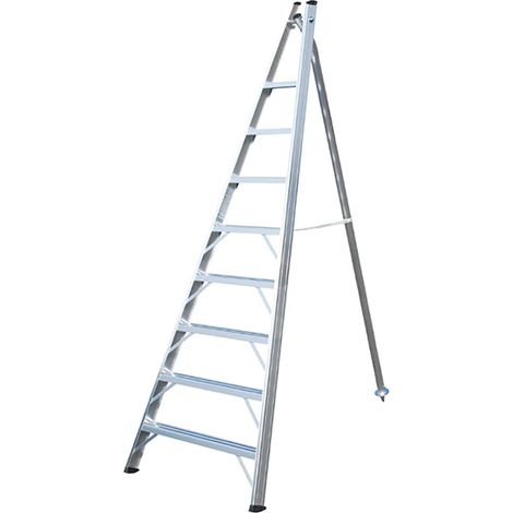 Scala agricola 10 pioli - Lunghezza 2.79m - SCA1969S/10-SCCSTO (1/5)