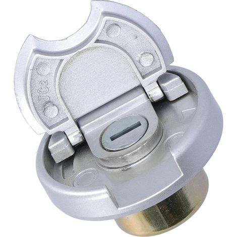 Bouchon de Réservoir en Acier Inoxydable avec 2 Clés pour Scooters (1/5)