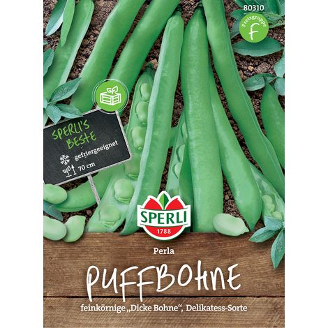 Sperli Puffbohnen Perla - Gemüsesamen (1/3)