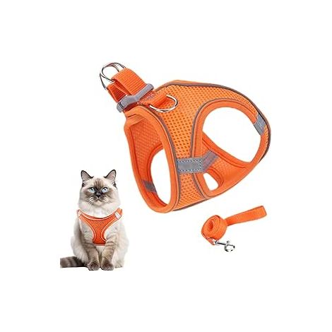 Ceinture thoracique anti-fugue pour chat, ajustable pour les promenades et les activités en plein air - Accessoires pour animaux de compagnie, équipement de sécurité pour les aventures en extérieur, l (1/5)