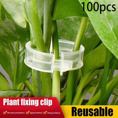 100 sichere Pflanzenclips aus Kunststoff, Stützclips, Gartenclips für Kletterpflanzen (1/5)