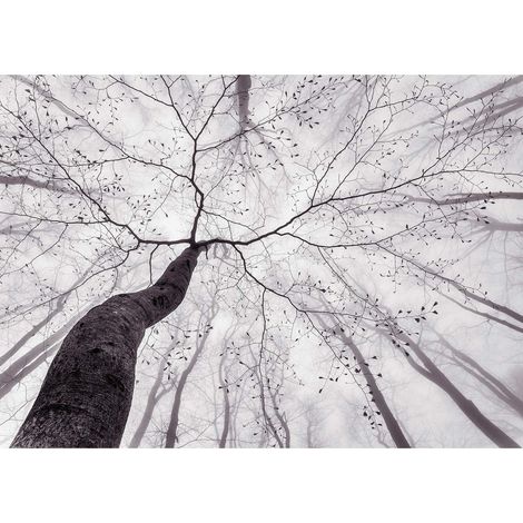 Tableau nature noir & blanc | Tableau hiver arbre gris et blanc | Tableau sur toile forêt idéal pour déco salon & chambre adulte 0,7 x 0,5 m (1/2)