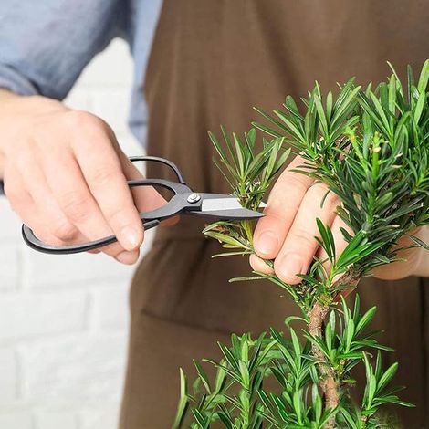 Outils Bonsai, Outils de jardinage, Ciseaux en acier au carbone, Cutter à bouton et coupé, Séparateur de poitrine, Kit d'outils Bonsai pour jardin