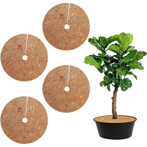 Tapis De Coco Plantes, 4 Pièces 30 Cm Protection en Noix De Coco pour Plantes en Pot, Disque Paillage Tapi Coco Plante, Disque De Protection Plante, Tapis De Noix De Coco Disque Paillis Pot (1/5)