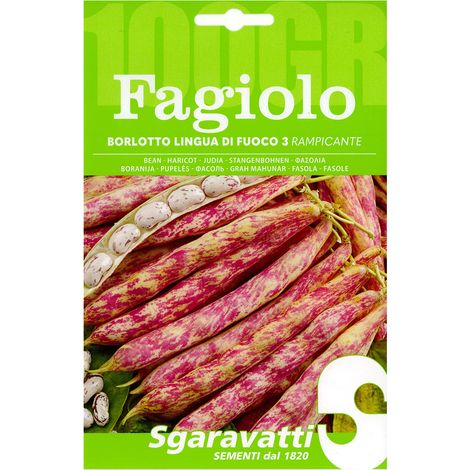 SEMI PER FAGIOLI fagiolo borlotto rampicante lingua di fuoco 3 - gr 250 fagiolo borlotto rampicante lingua di fuoco 3 - gr 250