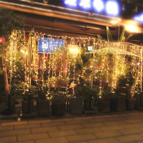 LED-Lichterkette, 3 x 3 m, 304 LEDs, IP44 wasserdichte Weihnachtslichterkette mit Fernbedienung und Timer, 8 Modi, Partydekoration für Weihnachten, Geburtstag, Hochzeit, Wohnzimmer, Warmweiß (1/5)