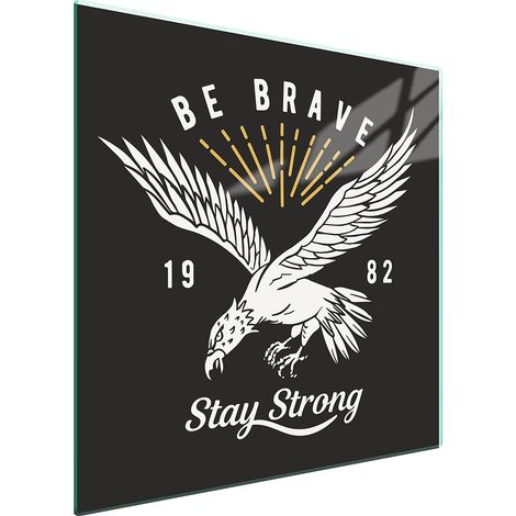 PLACA PROTECTORA DE VIDRIO PARA ESTUFA 50x52 BIRD (1/5)