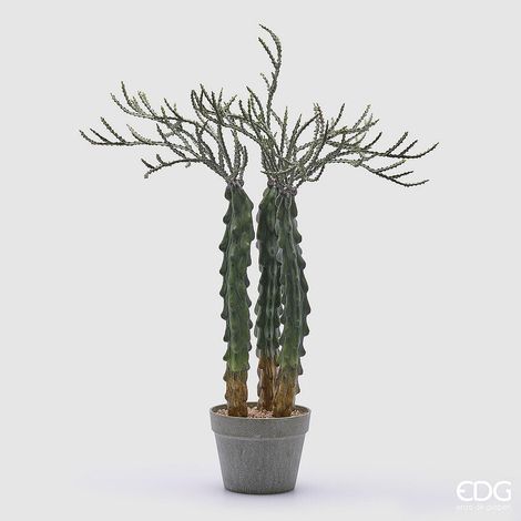 EDG Enzo De Gasperi Cactus Cereus Succ. con Vaso Artificiale H 80 Cm Green (1/4)