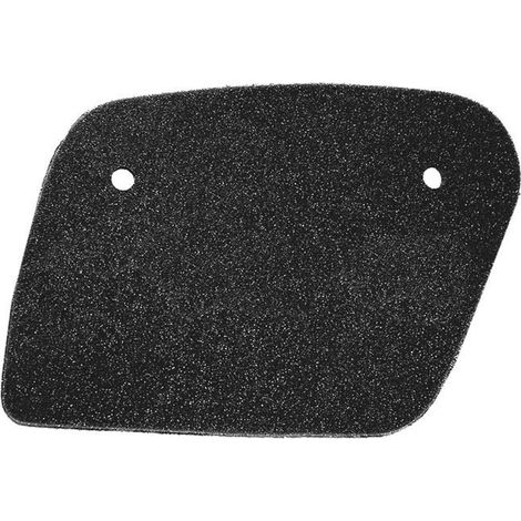 Filtre à air Tecnium pour Aprilia Leonardo 125/150 (1995-2006)