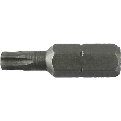 10 x LTI INSERTO TORX 25 MM T40 M 8,0