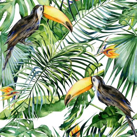 Papier peint panoramique jungle avec oiseaux Tapisserie panoramique exotique avec toucans idéale salle de bain Papier peint panoramique tropical