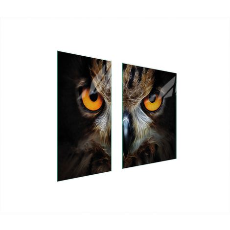 PLAQUE DE PROTECTION EN VERRE 75x52 OWL (1/5)