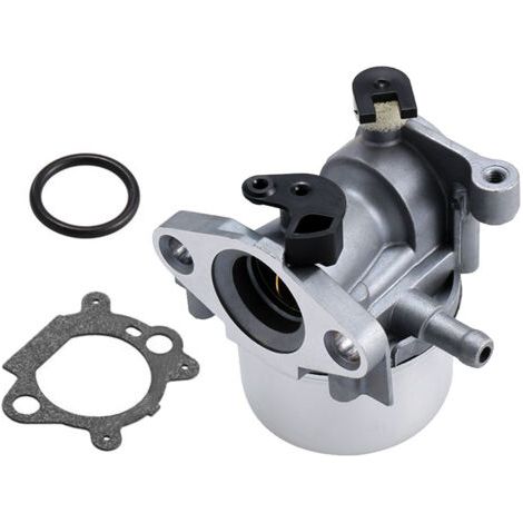 DTEKGAZ - Vergaser für Briggs & Stratton 799866 ersetzt 796707 794304 mit Dichtung (1/4)