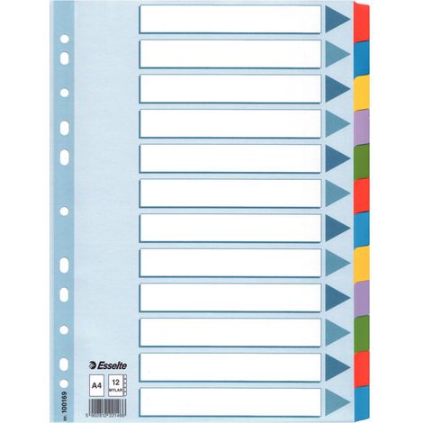 Esselte 100169 intercalare Indice a linguetta vuota Multicolore (1/2)