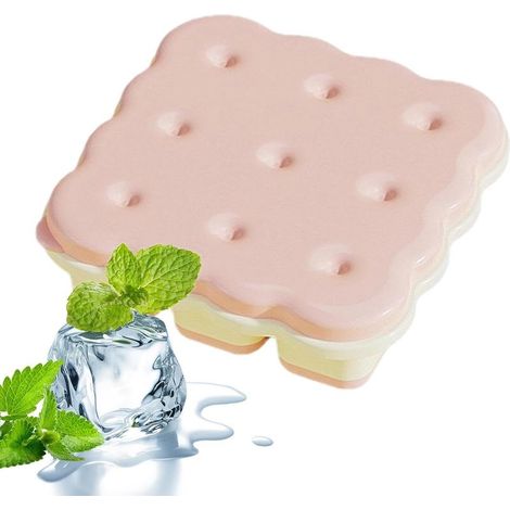 À Glaçons Pour Congélateur Moule De Conservation En Forme Cookie (1/5)