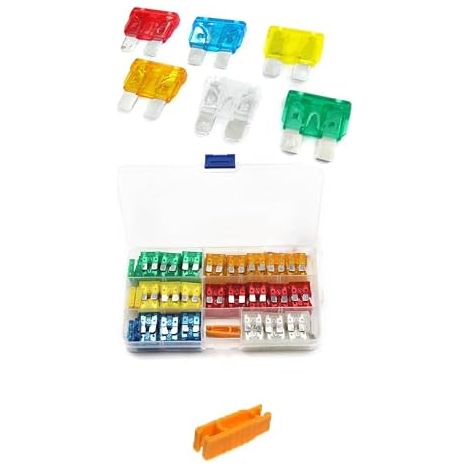 Fusibles de voiture 120 pièces Fusibles à lame plate avec 1 extracteur de fusible et boîte de rangement pour voiture camping-car camion moto – 5A-30A, taille standard (1/5)