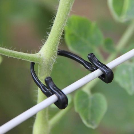 Attache Pour Plantes - Fixation Pour Tiges De Tomates Et Vignes - Résistant Aux Intempéries - En Plastique Noir - 100 Pièces (1/5)