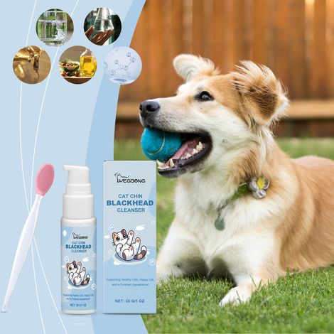 Kit de nettoyage et d'entretien du menton pour animaux de compagnie : nettoie en douceur le pelage du menton des chiens et des chats -- 30 g1 + brosse1 -- BIEMMEDUE (1/5)