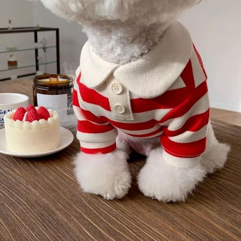 Chemise rayée pour chien, tendance, mignonne, respirante et confortable, vêtement pour petits chiens et chats de qualité, rouge, taille S (1/5)