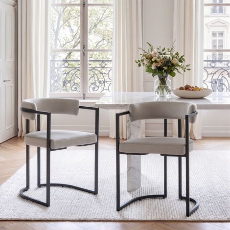Wahson Lot de 2 chaises de salle à manger modernes – Accoudoirs confortables – Dossier rembourré en velours – Pieds en métal gris, Gris