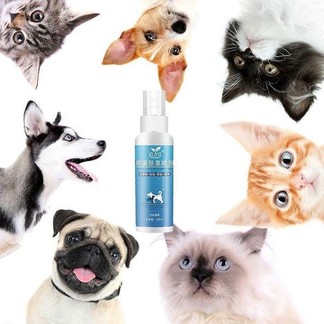 Déodorant en spray pour chiens, chats et cobayes, naturel et bio-extrait (1/4)