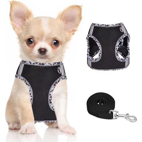 1 harnais chien petite taille, maille respirante, sans traction, réfléchissant, pour chiots et races naines comme Chihuahua, Boston Terrier (1/5)