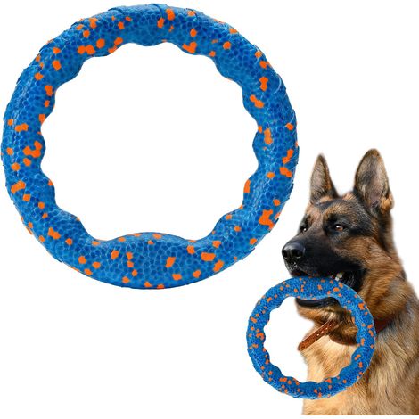 Anneau-jouet pour chien (bleu/orange à pois, 23 cm) (1/5)