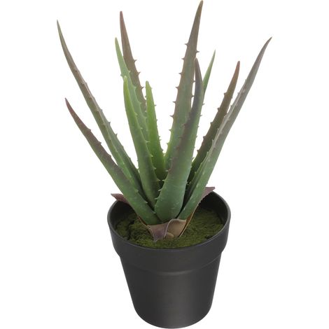 Plante Succulente Artificielle en Pot Plastique Décorative Design Réaliste et Compact pour Décoration Intérieure Maison et Accessoire Photo (1/5)