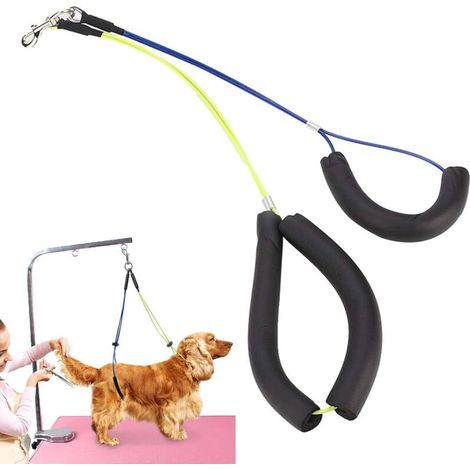Laisse de toilettage pour chien, laisse de cou réglable pour table de toilettage et articulation (1/5)