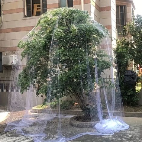 Filet de protection pour arbres fruitiers - 10 m x 10 m [Convient aux arbres fruitiers jusqu'à 3 m de hauteur] Maille de 2 cm