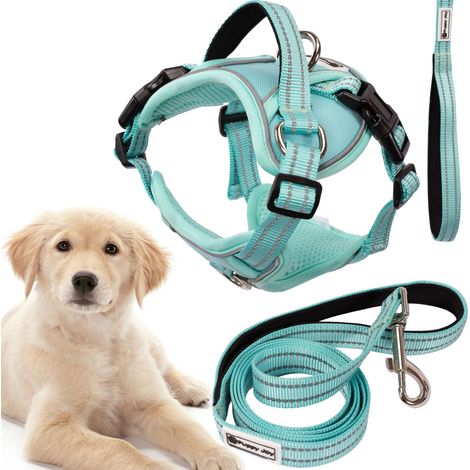 GUINZAGLIO E PETTORINA PER CANE TUTUMI PJ-061 L GREEN