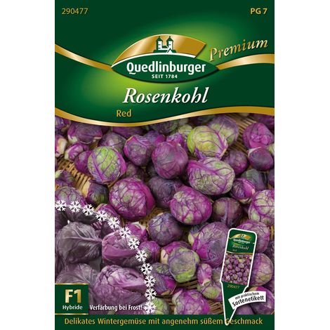 Quedlinburger Saatgut – Chou de Bruxelles Red – Graines de légumes, choux rougeâtres, hauteur env. 100 cm (1/2)