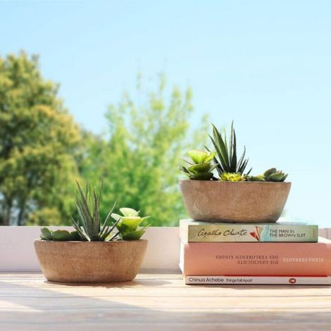 Succulent Artificielle Vert FoncPlante de Simulation en Forme de BateauDcoration Intrieure et Extrieure (1/4)