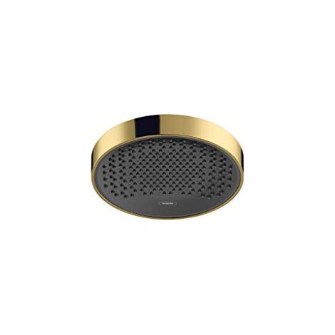 soffione doccia 250 1jet EcoSmart aspetto oro lucido (1/4)