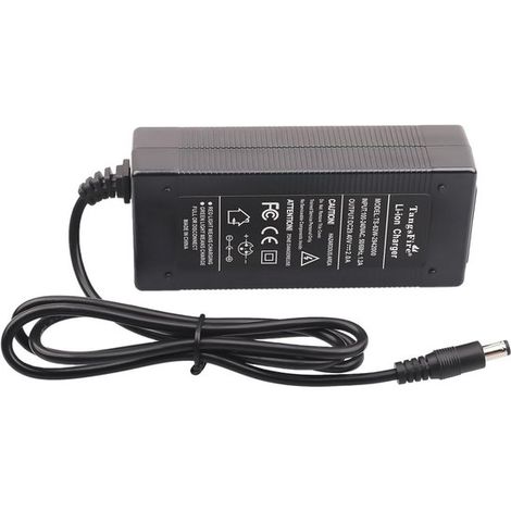 Caricabatterie da 29,4 V per batterie di skateboard, monopattini e batterie al litio (1/5)