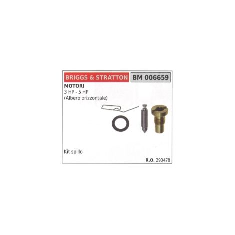 BRIGGS&STRATTON Vergasernadelsatz Rasenmäher mit horizontaler Welle 293478