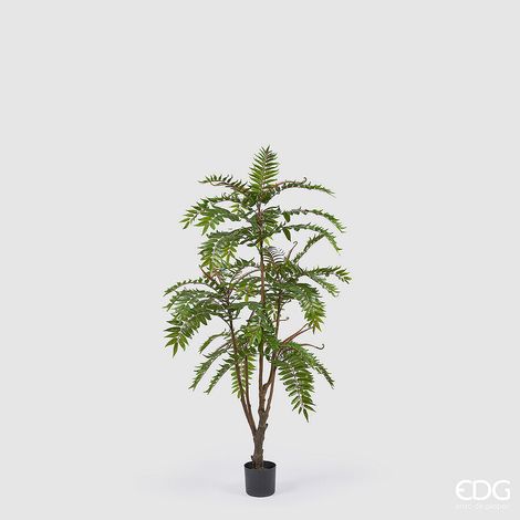 EDG Enzo De Gasperi Ailanto con Vaso Artificiale H 150 Cm Green