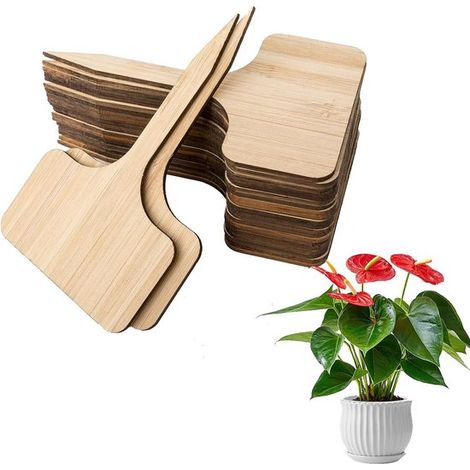40 etichette per piante resistenti alle intemperie, paletti da giardino in legno per piante sostenibili, accessori da giardino e ausili per l'identificazione (1/5)
