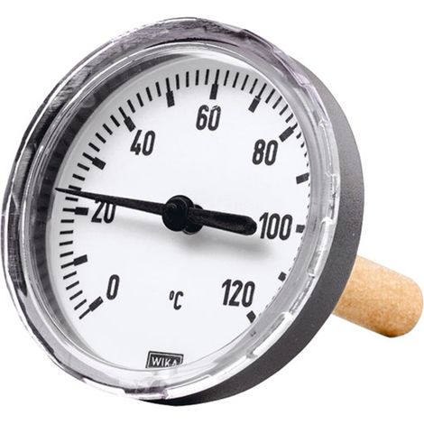 Riegler Bimetallthermometer, G 1/2 hi., Tauchschaftlänge 100mm Ø 63, bis 120° (1/2)
