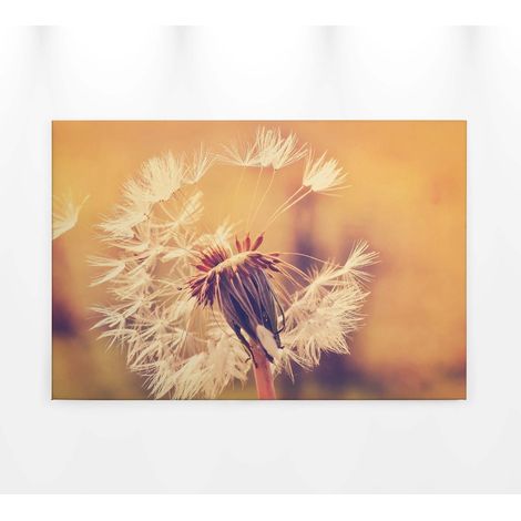 Tableau été fleur de pissenlit & coucher de soleil | Tableau décoratif mural orange & terracotta | Tableau cuisine et chambre adulte 0,9 x 0,6 m (1/5)
