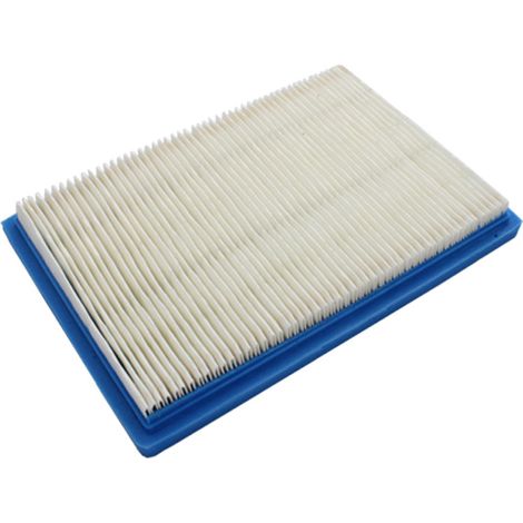 Filtre a air Briggs et Stratton Quantum 397795 (1/3)