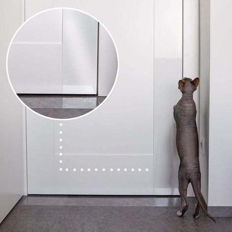 Pet scratch protection with custom-cut blade - Protects the (1/4)
