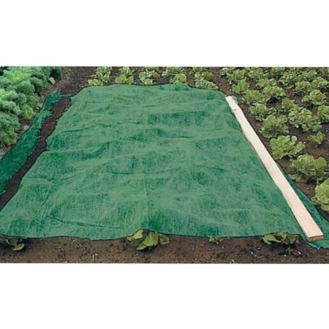 Werka Pro – Voile d'hivernage vert 90g/m² 1 x 25m – Protection contre le froid pour plantes – Polypropylène durable et résistant aux intempéries (1/5)