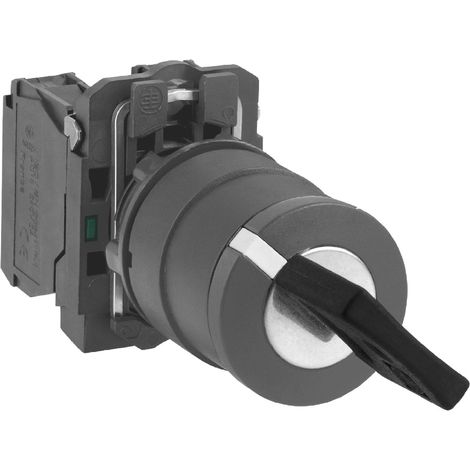 Schneider Electric XB5AG21 XB5AG21 Schlüsselschalter 1 St.